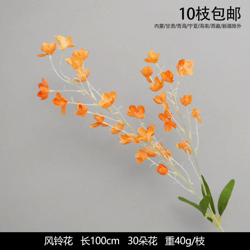 风铃花