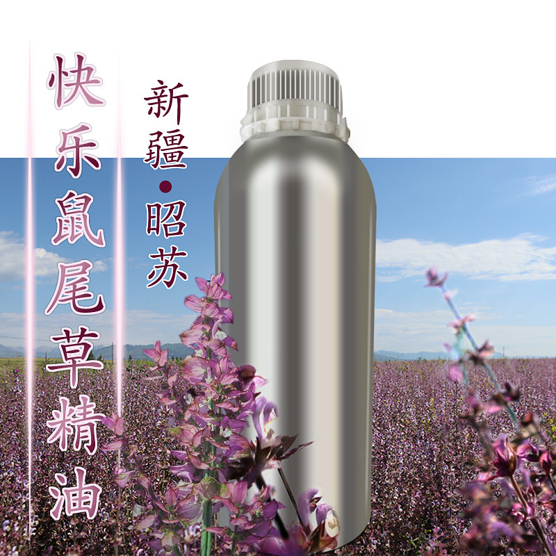 新疆昭蘇原産の楽しい鼠尾草精油片方精油は香紫蘇精油鼠尾草精油とも呼ばれている|undefined