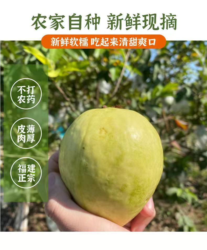 4205e659-3f6a-4afc-80f0-b54e3f78d77f.jpe