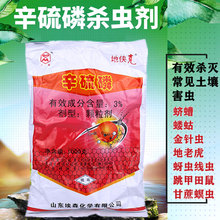 �������w�����Qϓ���D�R��N��ǧ���x���ϻ����º��x�������x��