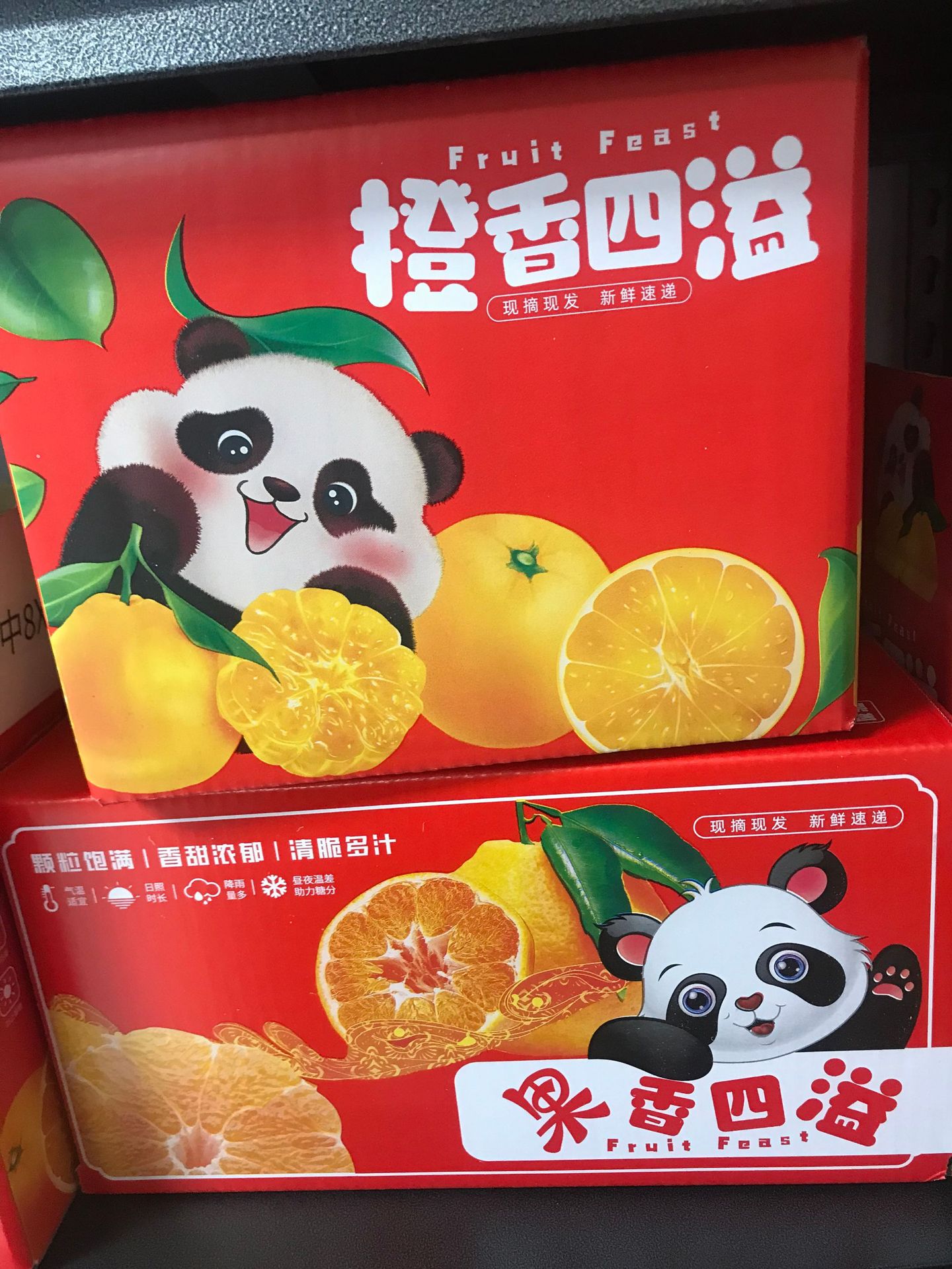 微信图片_20250211130133