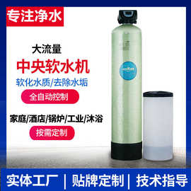 软水机锅炉软水过滤设备去除水垢钙镁离子软化树脂阻垢软水处理器