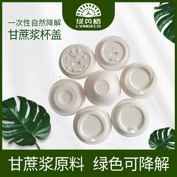 Disposable Plant Raw Materials Sugar Cane Platycodon Straw Pure Pulp Plastic-free Biodegradable Coffee Milk Tea Sugar Cane Pulp Cup Lid