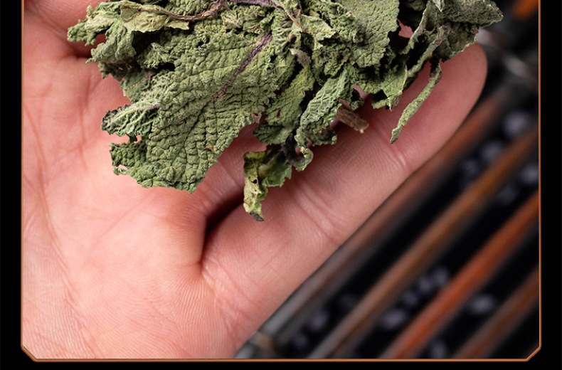 Toad Herb Dried Whole Plant 500g Ha Ma Cao 蛤蟆草 Salvia plebeia Loose Herbal Tea Material details