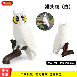 �羳��������Bģ��؈�^������{�n���{���{��߃�ͯ�ƽ̼ҾӔ[��