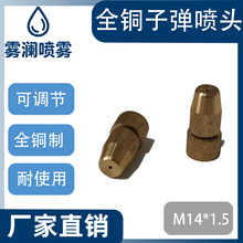 噴霧器噴頭純銅可調霧化噴頭 電動打葯機配件子彈噴頭高壓耐用
