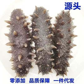 海参;鱼类;贝类