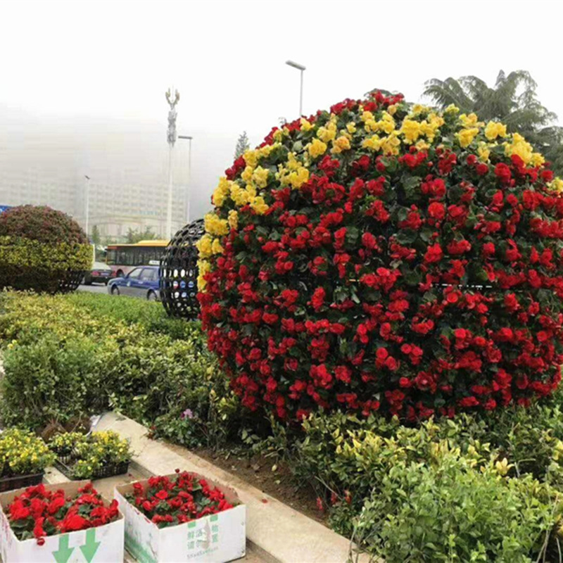 Ronda de plástico tridimensional Tarjeta Verde maceta jardín verde planta forma tarjeta maceta paisaje flor bola flor columna hebilla