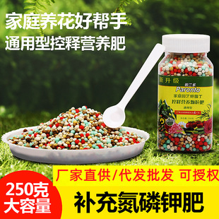 Flower green plant slow release fertilizer particles general-purpose controlled release fertilizer compound fertilizer succulent soil cultivation plant green radish fertilizer