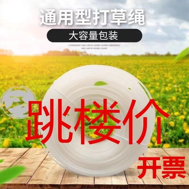 Cortadora de césped universal nylon 2.4 / 3.0 / alambre de acero / espiral / diente de sierra cortadora de riego cortadora de césped especial