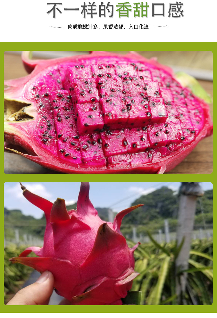 火龙果详情页_02.jpg