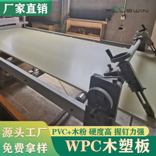 厂家供应建筑装饰板材木塑板 装饰墙板防潮阻燃高硬度PVC木塑板