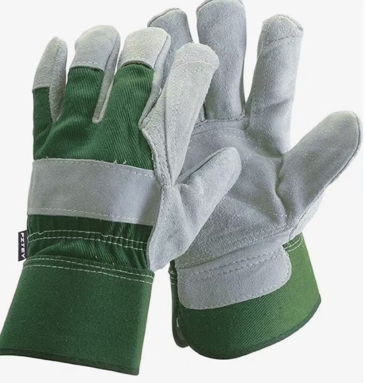 IMG_2375(20240306-230415)