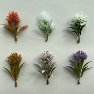 ���滨����������ˮ�ݶ������Q���lֲ��辰�b�ˮ��ݏS��