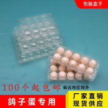 加厚鸽子蛋包装盒一次性塑料透明鸽蛋蛋托PET吸塑盒现货批发包邮