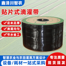 贴片式滴灌带农业大棚山地节水灌溉管单孔双孔滴灌均匀16mm滴灌带