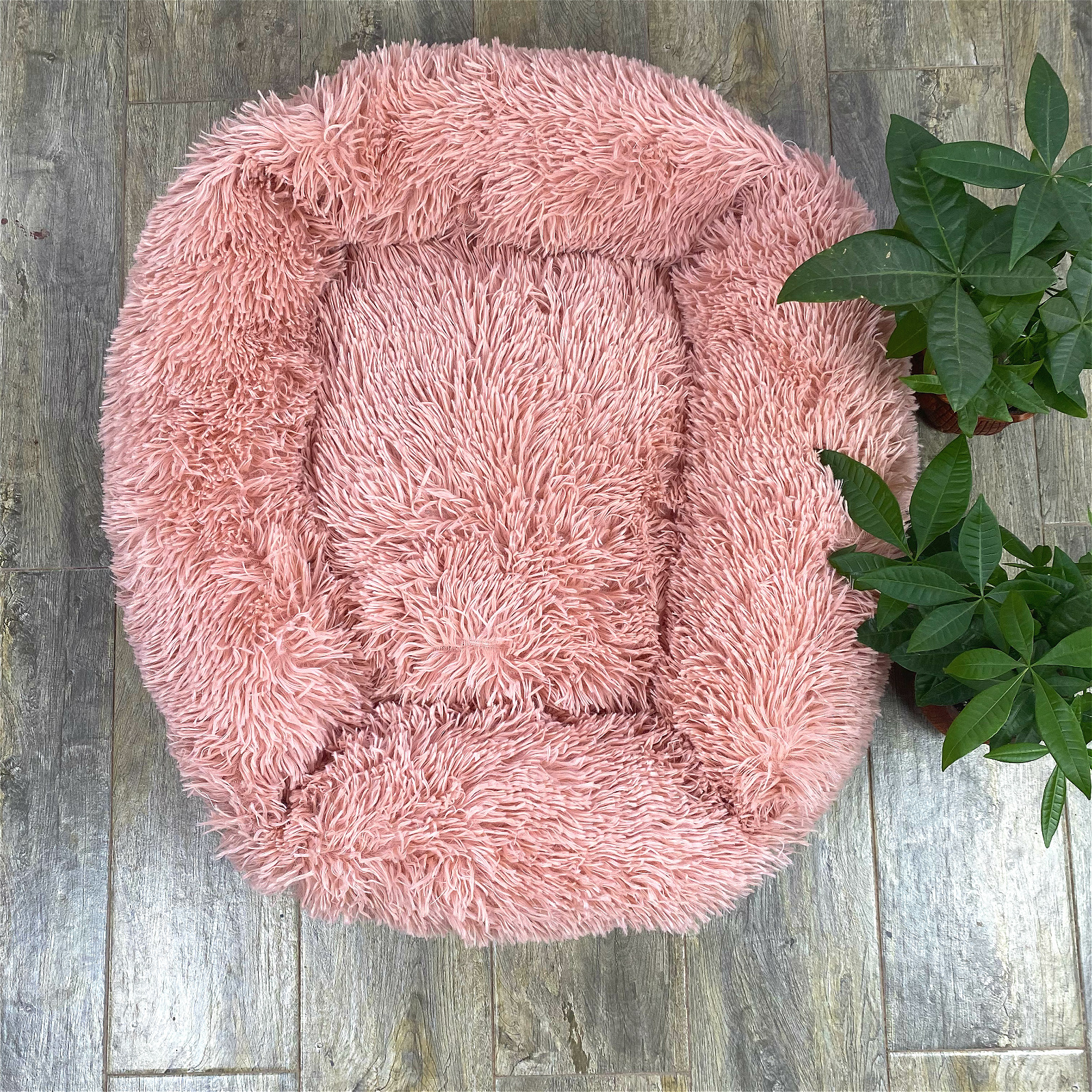 微信图片_20210802133830_meitu_11