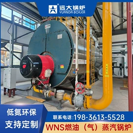 燃气锅炉;燃油锅炉;燃生物质锅炉