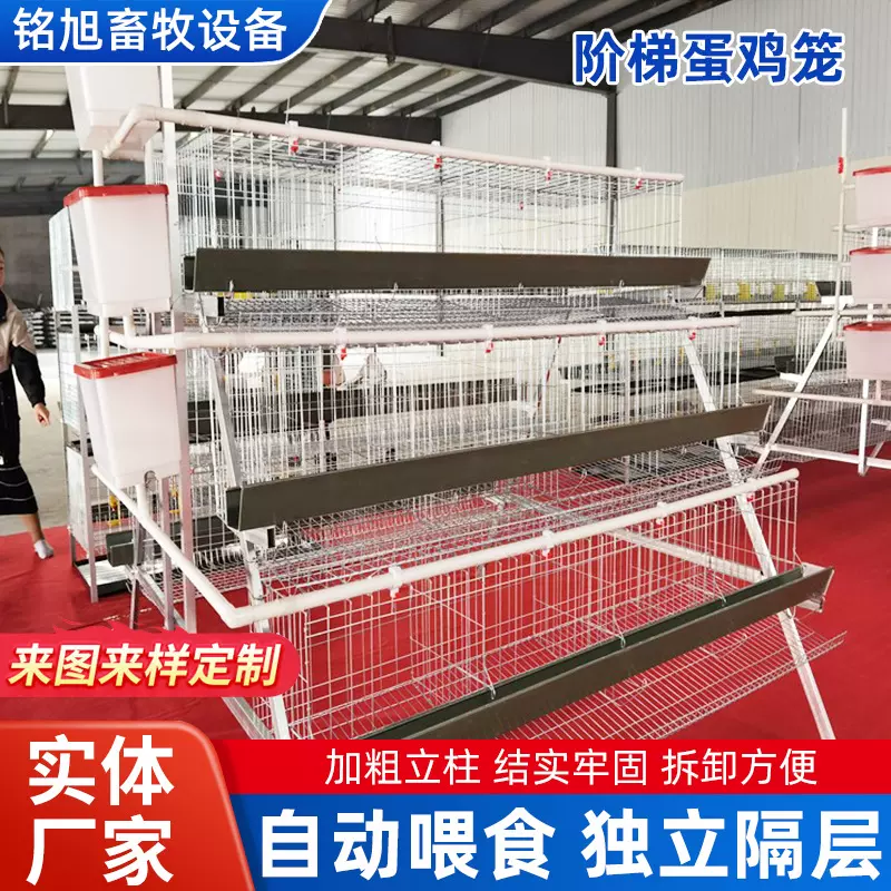 四层阶梯式蛋鸡笼批发大型蛋鸡场养鸡设备层叠式养殖鸡笼鸭笼架子