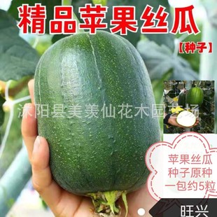 ԡOzϷNӲ˹ϷNѷNN߲˲ļN