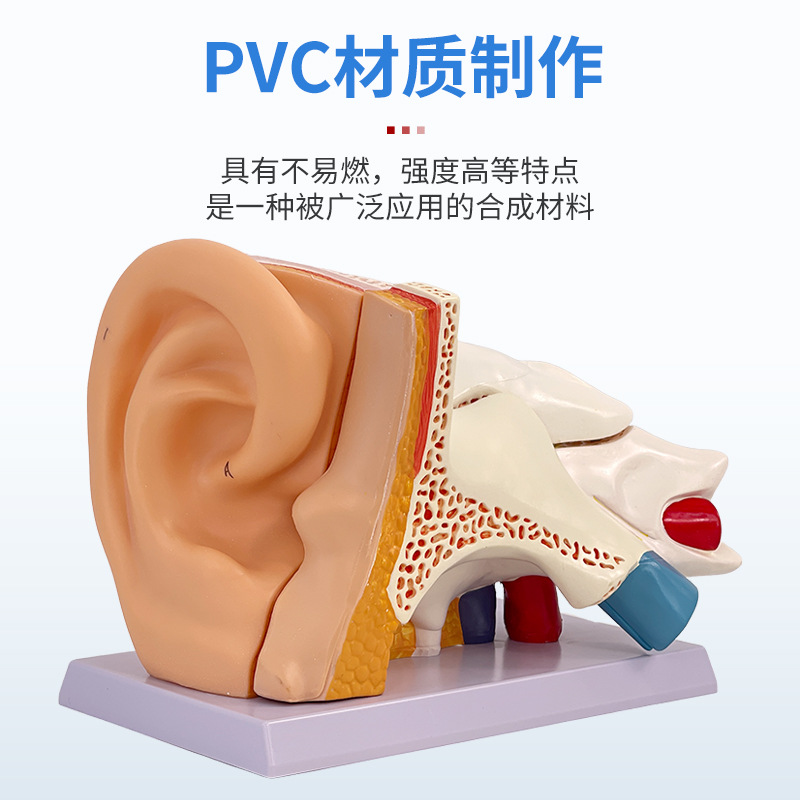 ��ѧ�����������Ŵ�ģ�Ͷ����������ڶ�������ϵͳ���乹��ҽѧ