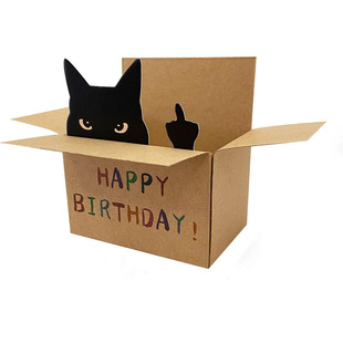 Amazon Hot Creative Birthday Greeting Card Black Cat Vertical Middle Finger Cowhide Paper Box Stereo Greeting Card Writable
