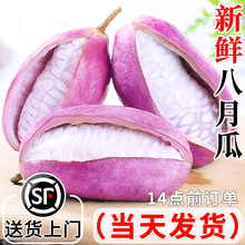 八月瓜新鲜水果八月炸5斤装当季现摘香瓜应季麻藤包甜瓜8顺丰包邮