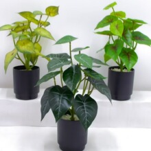 绿植红掌植物盆栽芋叶仿真盆景装饰 海棠叶盆景 17头三叶草盆景