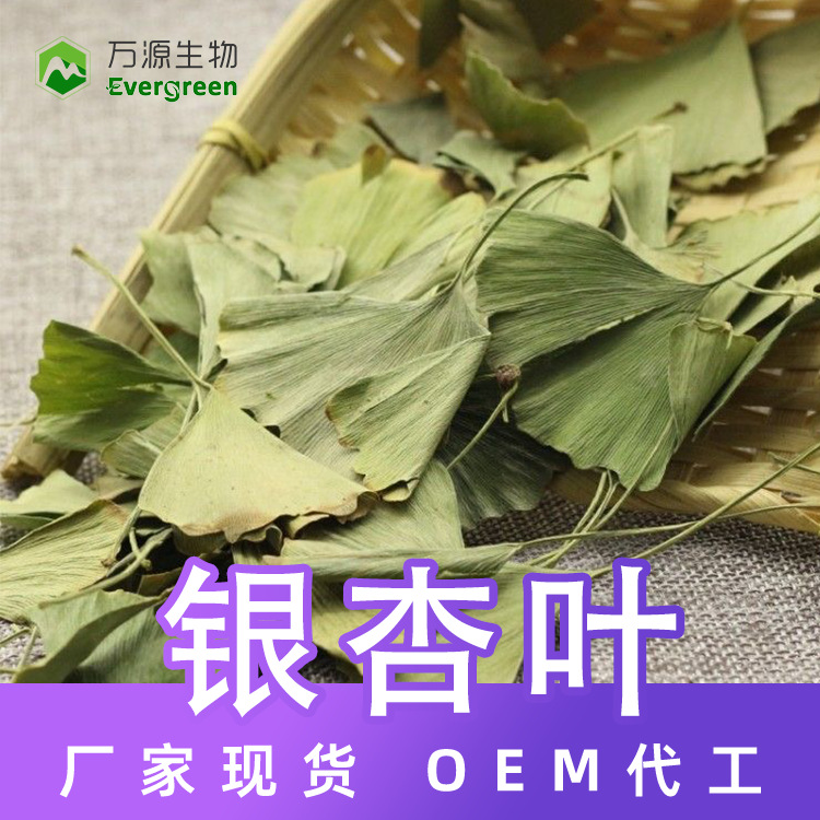 银杏叶干叶选货均匀绿银杏叶批发散货花茶原料1公斤ginkgo leaves