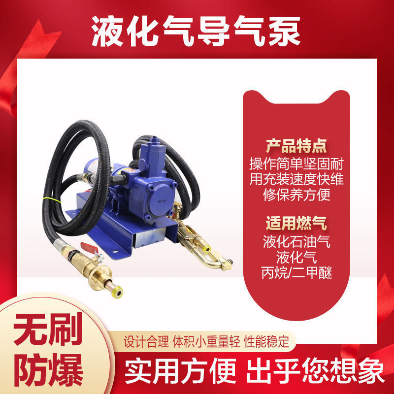 12v液化气泵倒气泵24伏丙烷充气泵车载小型气泵220v液化气垒德株
