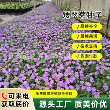 մ󻨷NѶ༾Nֲ_̨ͥԺ̫ꖻܷNӲ