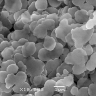 Ƭ���y��