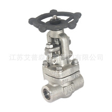 Z61Y̼ly  سlyDN20 DN25 DN40 DN50