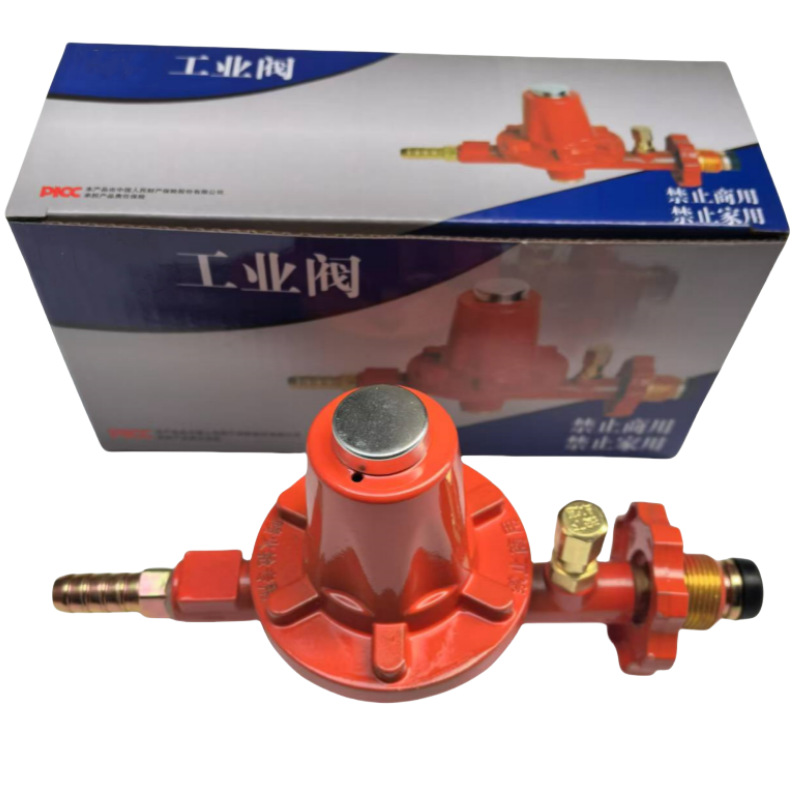 New National Standard Commercial Non-Adjustable Industrial Valve Gas Tank Liquefied Gas Valve Gas Stove Explosion-Proof Pressure Reducing Valve
