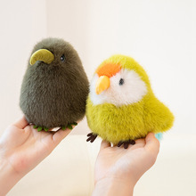 跨境爱鸟大嘴鸟玩偶仿真鹦鹉摆件儿童毛绒玩具公仔拍照道具几维鸟