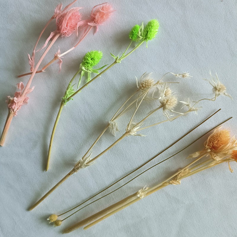 Festival bricolaje hecho a mano material de flor eterna planta flor seca florero flotante aromaterapia flor seca abanico de material paquete al por mayor