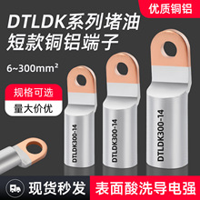 DTLDK�̿��~�X�����ӽӾ������~�X�^�ɽ��^��·����25/35/50-6/8