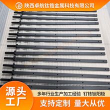 厂家供应钛电极 钌铱涂层钛阳极 污水处理电极 卓航钛锆供应