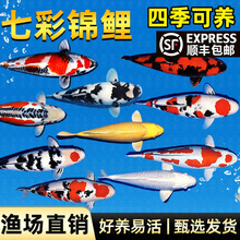 ��S�\���~���~�^�p�~���N�~���ͼt����ˮ��ˮ���B�ͻ���~С�~��