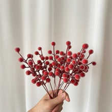 �羳����25���¿���涬��lؔ���t���Ҿ��b�Ͱ�廨�������t��