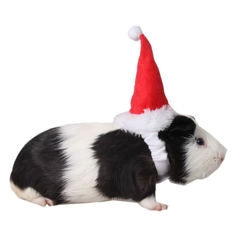 Jizaizai Маленькие товары для домашних животных Фабрика Ежик Коврик Groundhog Рождественская красная шляпа Фланелевый ремешок Тоторо шляпа