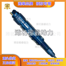 喷油器612630090025潍柴6M21 WP13发动机Baudouin原厂正品