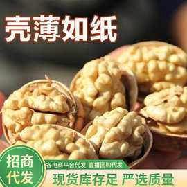 【代发】185纸皮核桃 500g新疆薄皮核桃休闲干果零食手剥原味大核