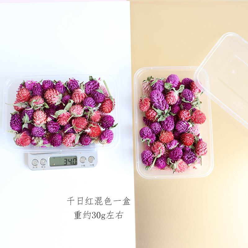 01千日红混搭一盒