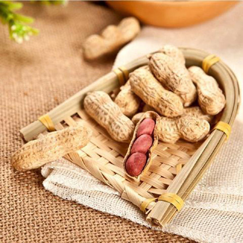 Childhood Notes Changbai Mountain Salted Dried Peanuts 500 Individual Small Packages Hardcover Large Package Red Skin Cooked Peanuts Roasted Seeds Wholesale