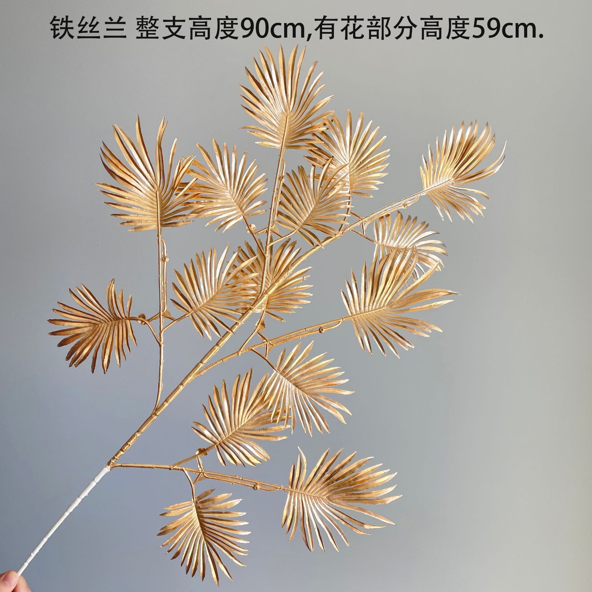 SKU14_颜色_铁丝兰