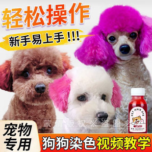 ��ٻ����Ⱦ�l������Ȯ���l��̩�ϲ�������Ⱦë���ѻ��ۼt��ɫƿ�b