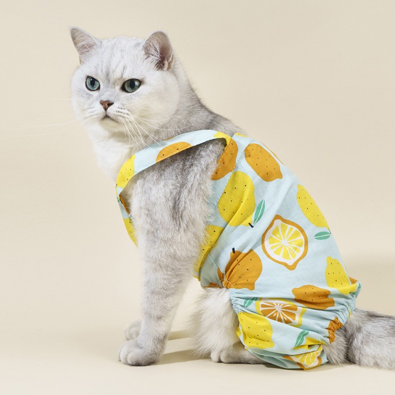 Pastoral Cotton Ditsy Floral Pet Clothing display picture 2