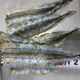 �������֖|���R���~�� �����~ ��ζ�~ ��~���NҎ������ꌣ���R