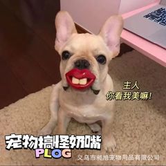 赤い本の同じタイプのペットの犬は乳首を責めます。